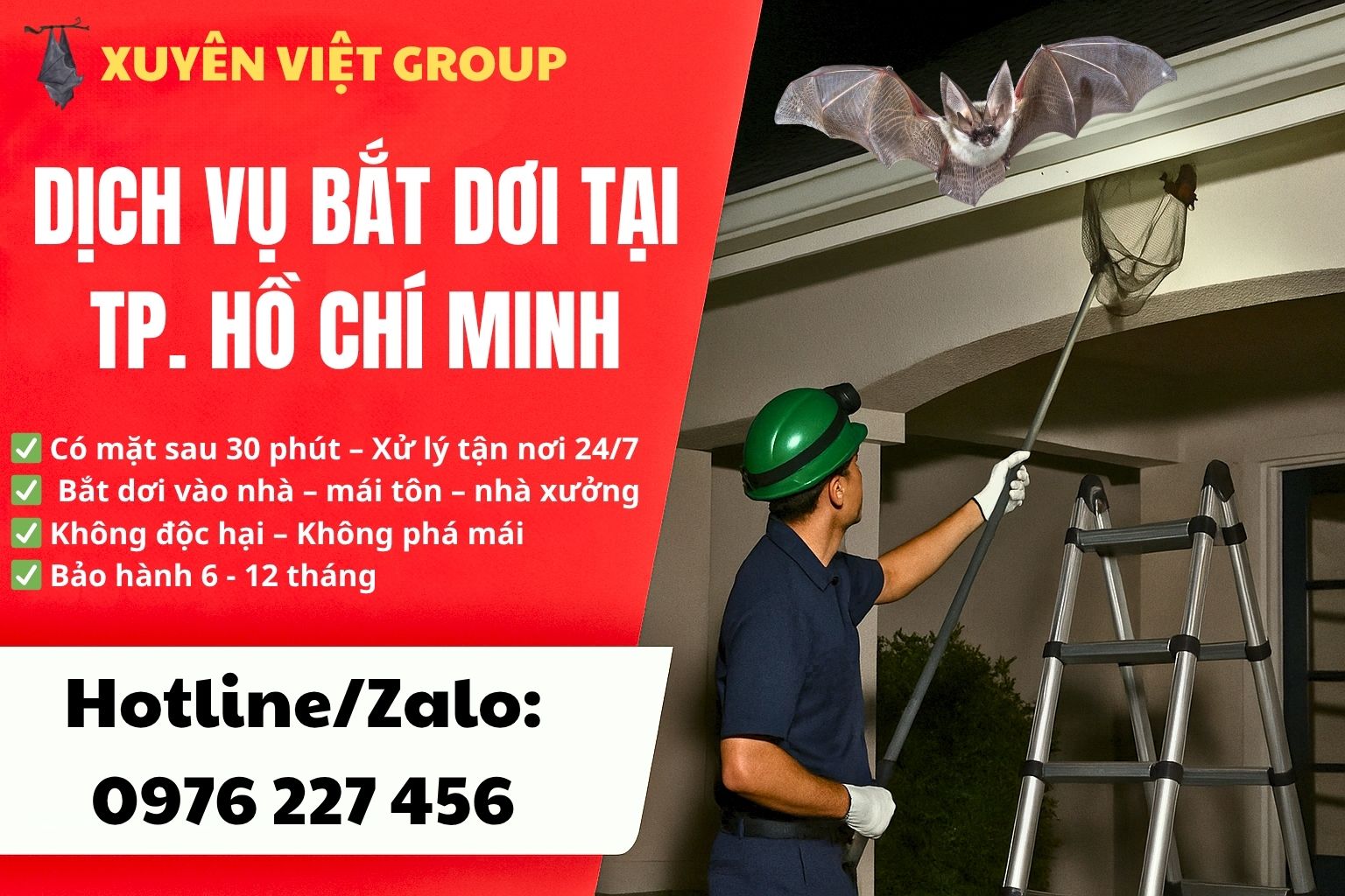 Dịch vụ bắt dơi tại TPHCM