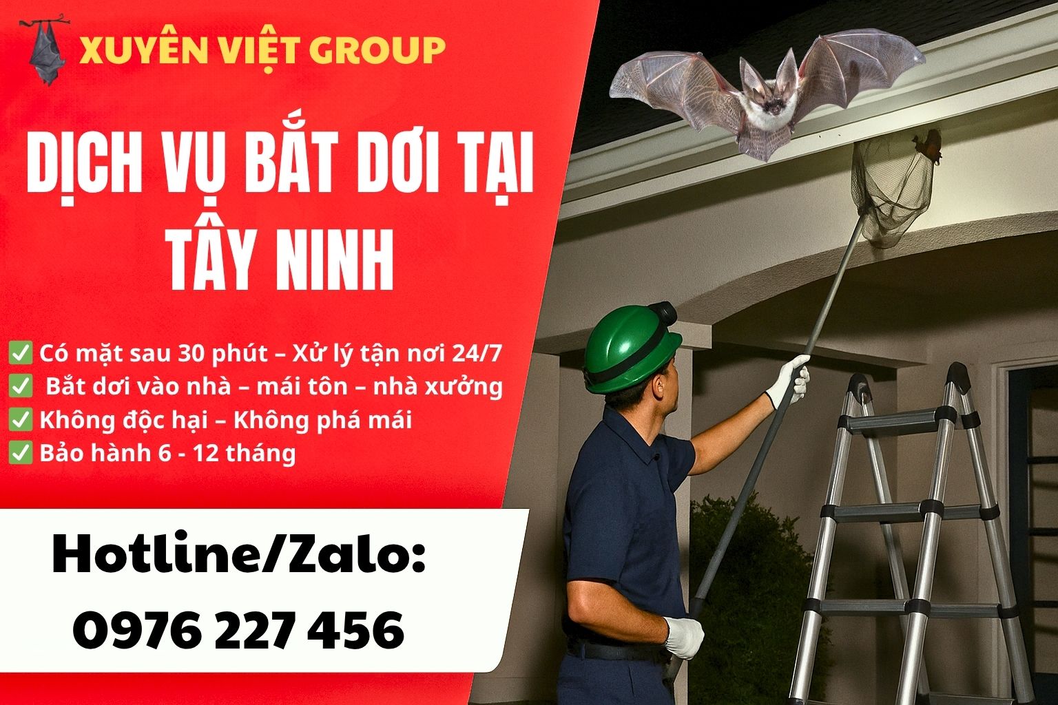 Dịch vụ bắt dơi tại Tây Ninh