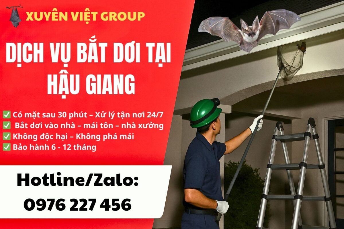 Dịch vụ bắt dơi tại Hậu Giang