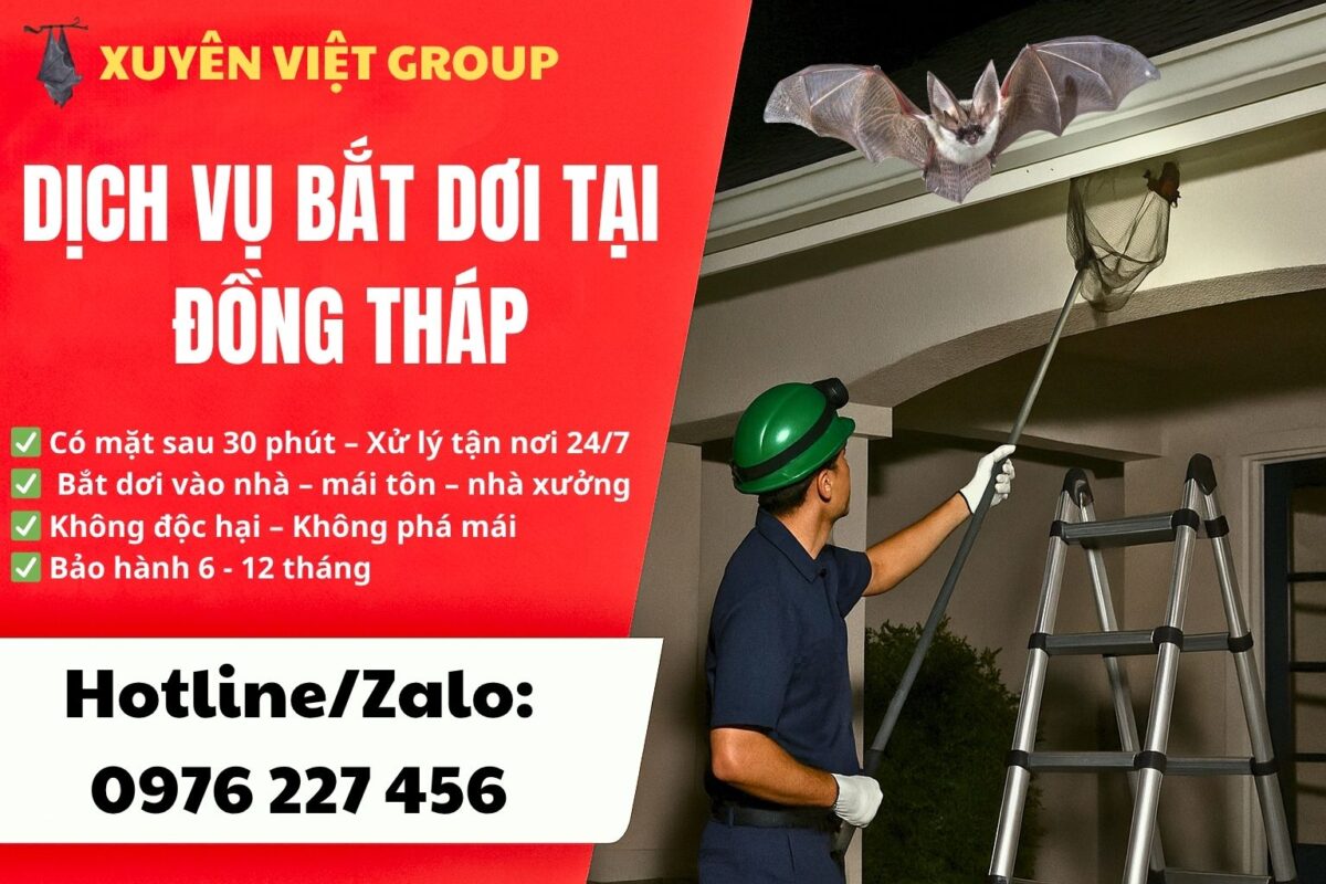Dịch vụ bắt dơi tại Đồng Tháp