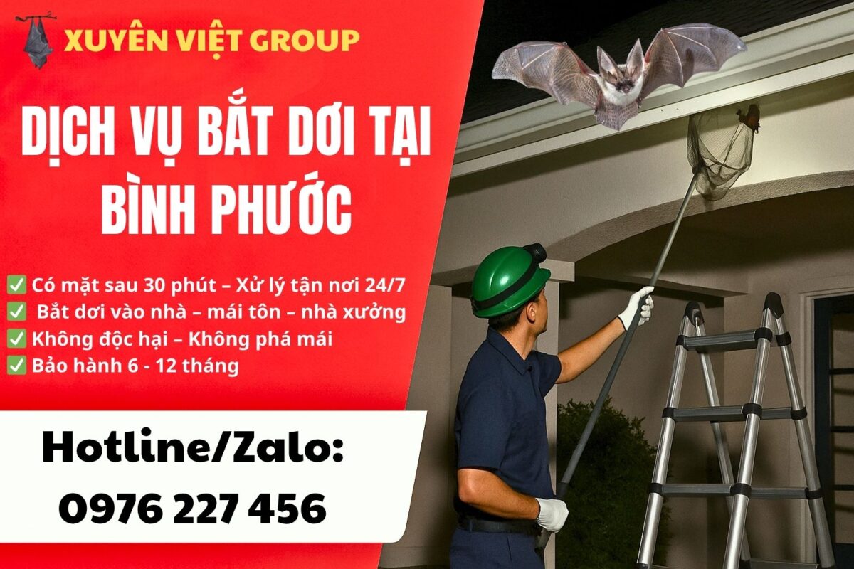 Dịch vụ bắt dơi tại Bình Phước