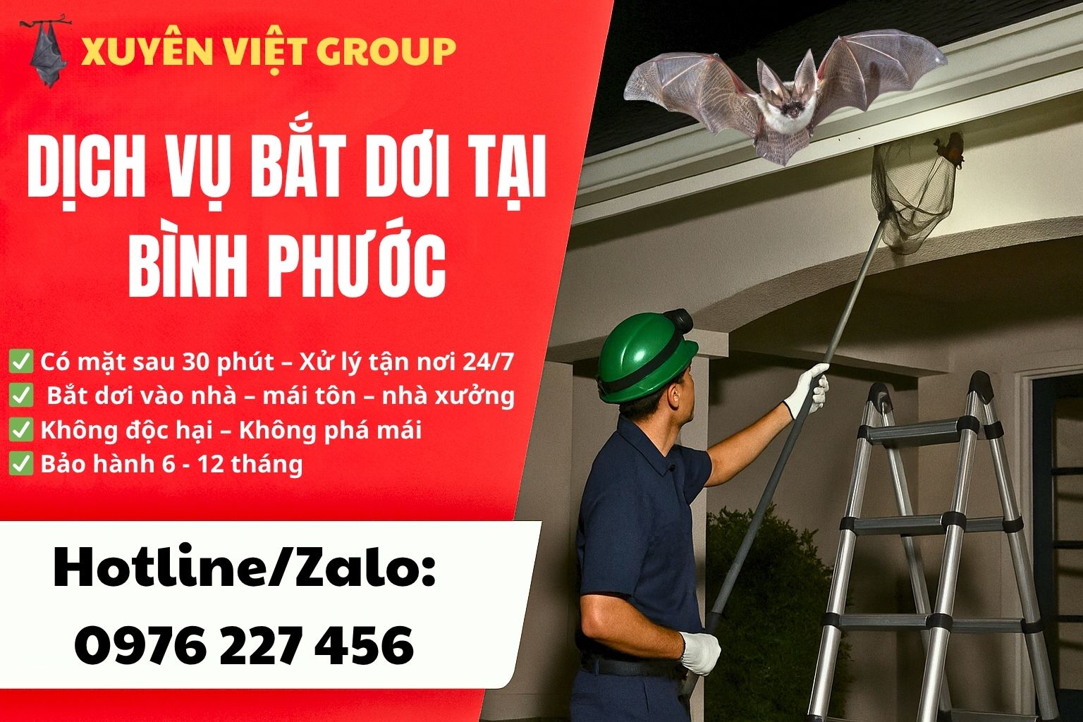 Dịch vụ bắt dơi tại Bình Phước