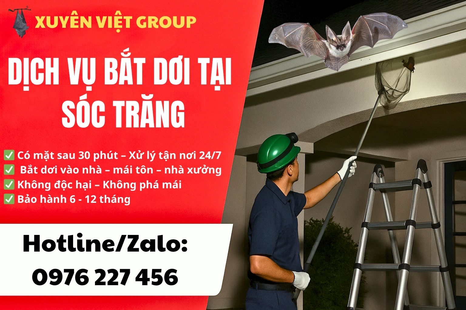 Dịch vụ bắt dơi tại Sóc Trăng