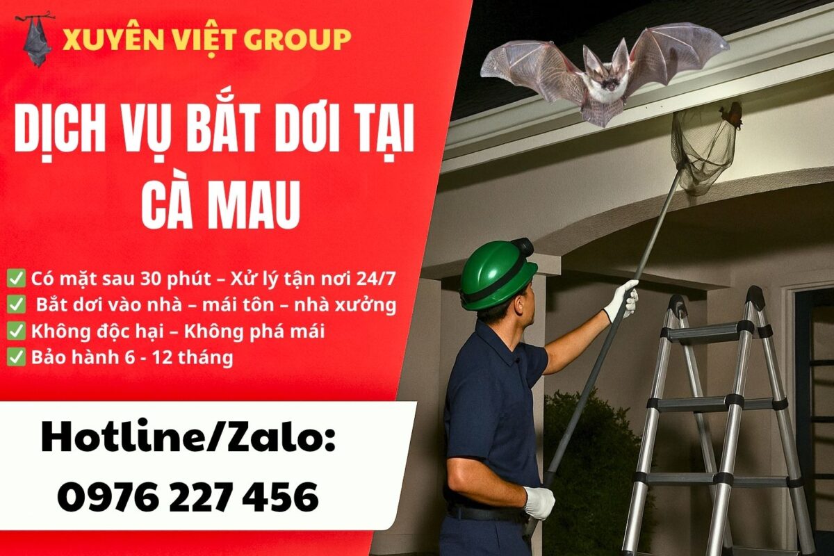 Dịch vụ bắt dơi tại Cà Mau