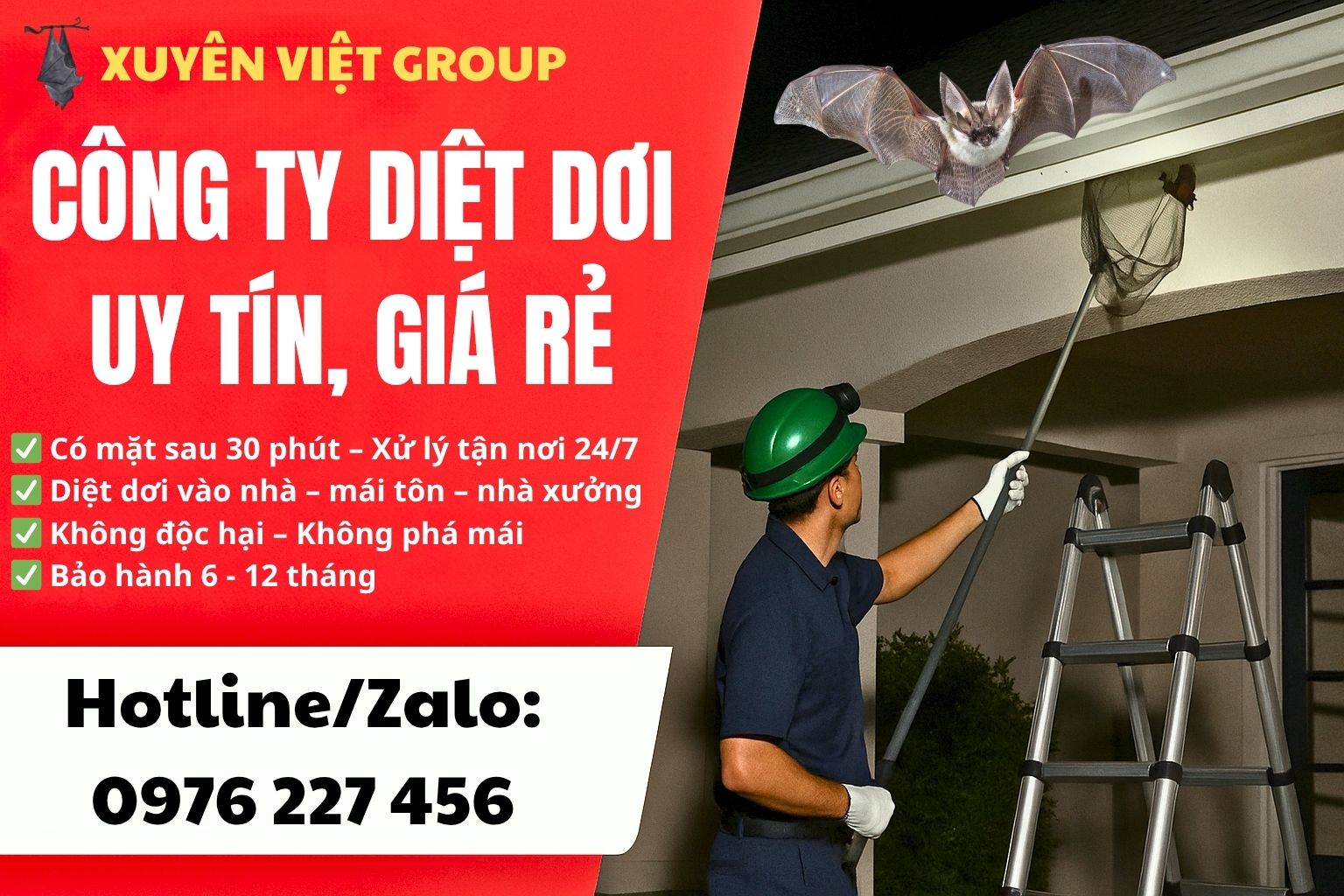 Công ty diệt dơi