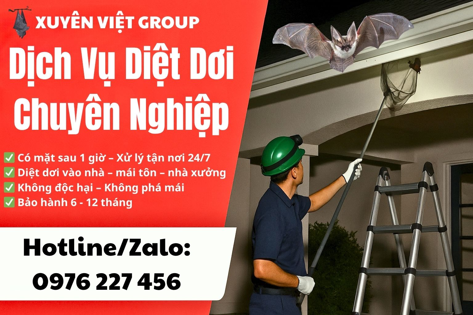 Dịch vụ diệt dơi chuyên nghiệp
