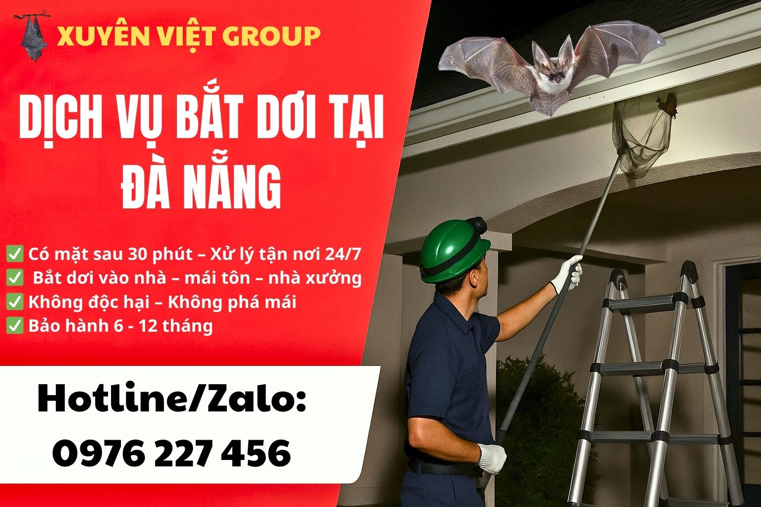 Dịch vụ bắt dơi tại Đà Nẵng