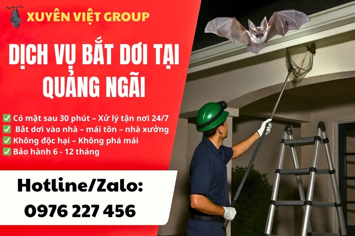 Dịch vụ bắt dơi tại Quảng Ngãi