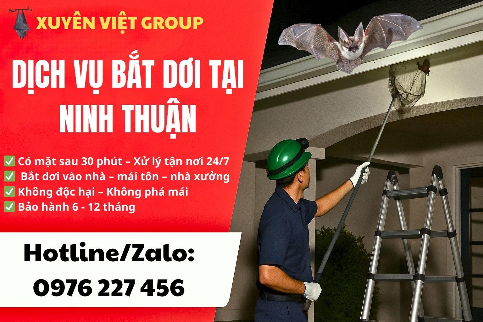 Dịch vụ bắt dơi tại Ninh Thuận