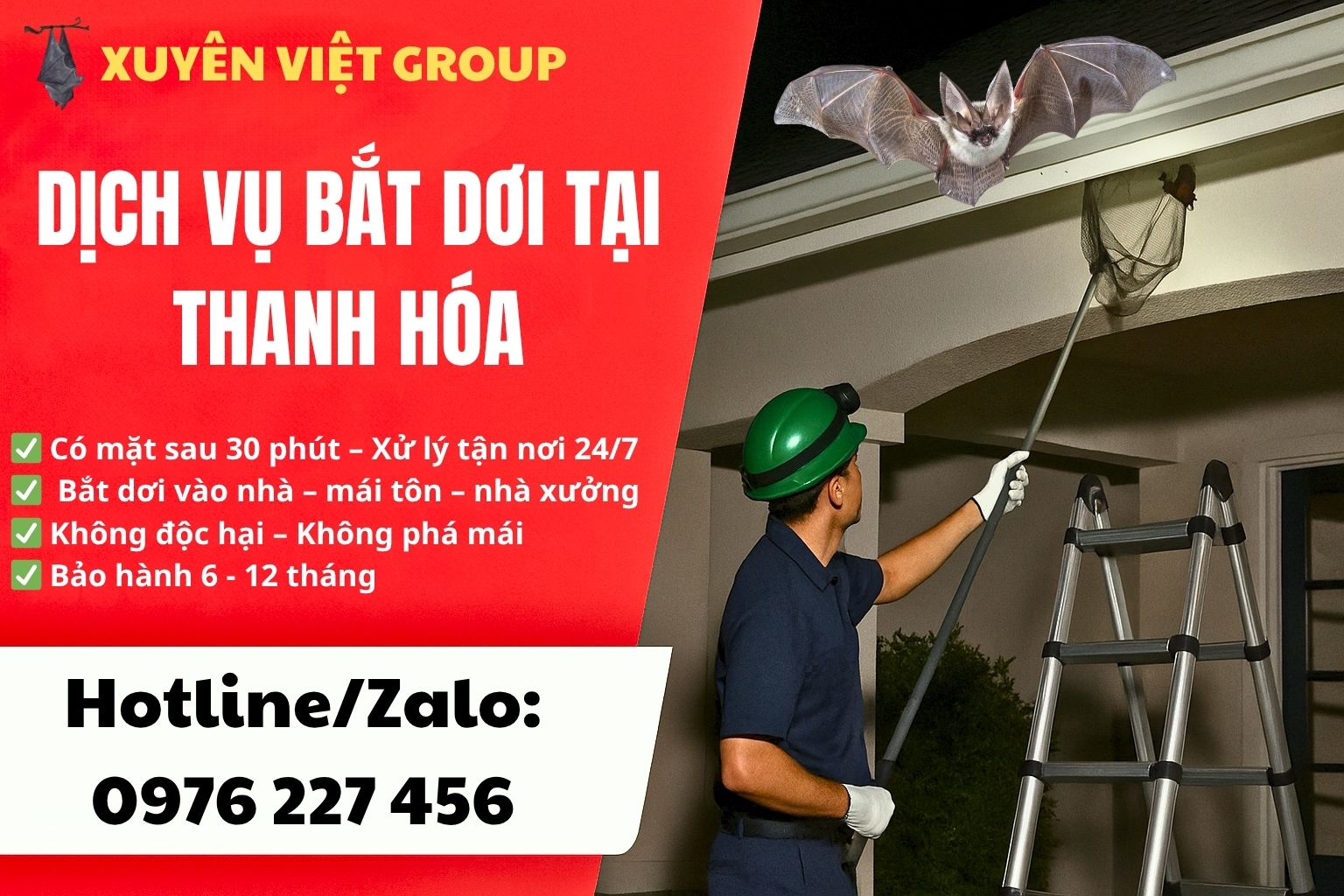 Dịch vụ bắt dơi tại Thanh Hóa