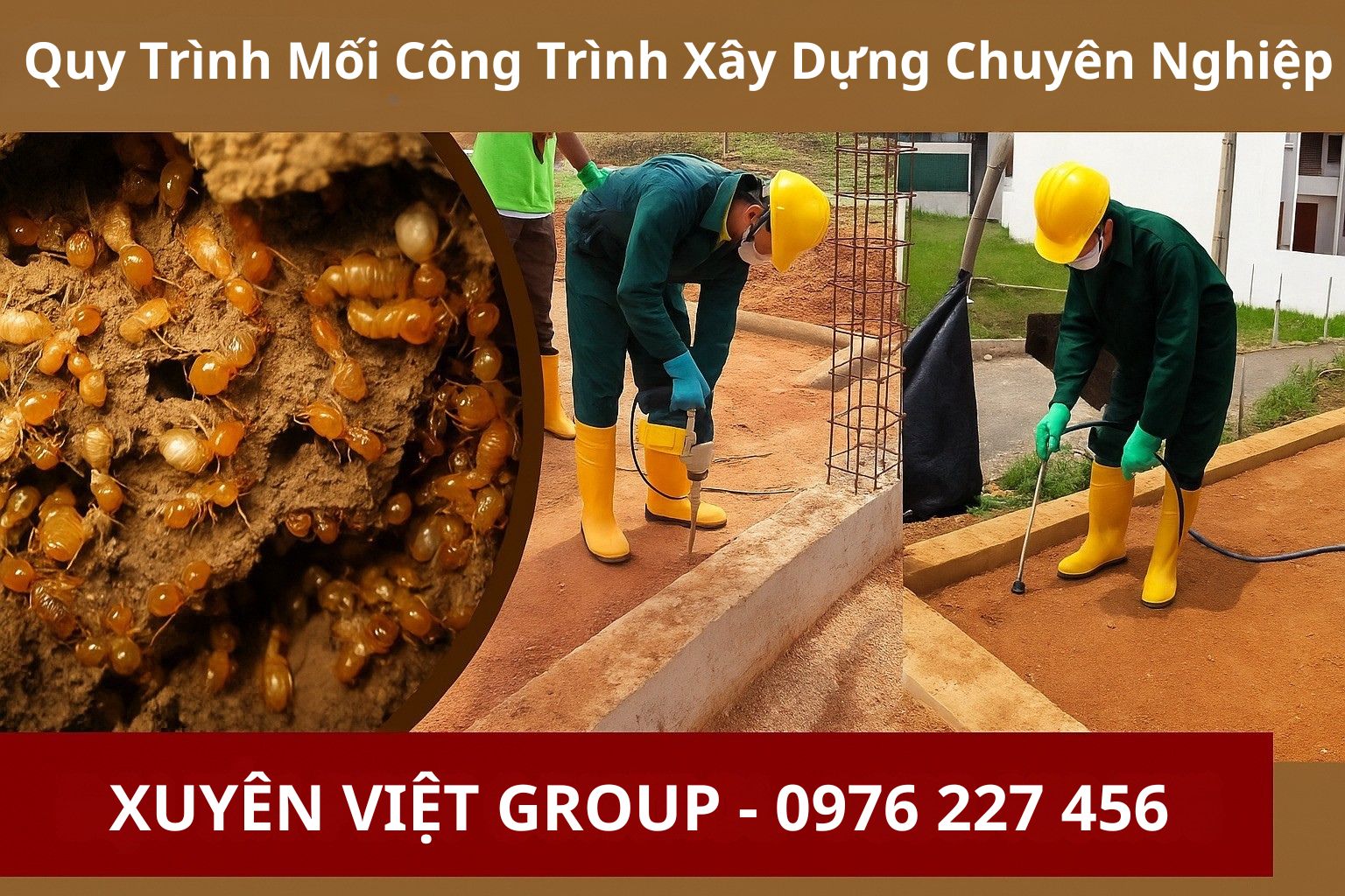 Quy trình xử lý mối công trình