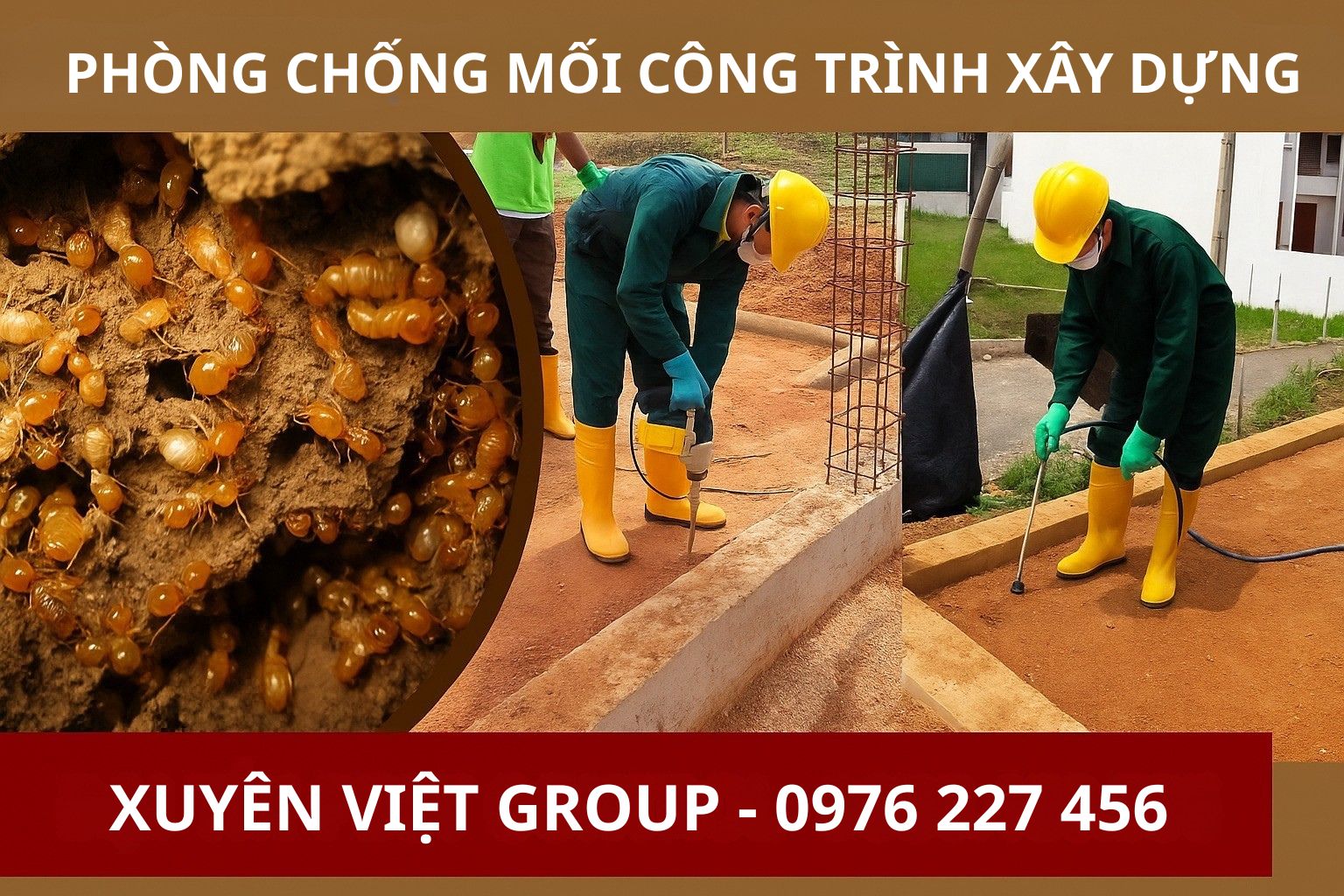 Phòng ngừa mối công trình
