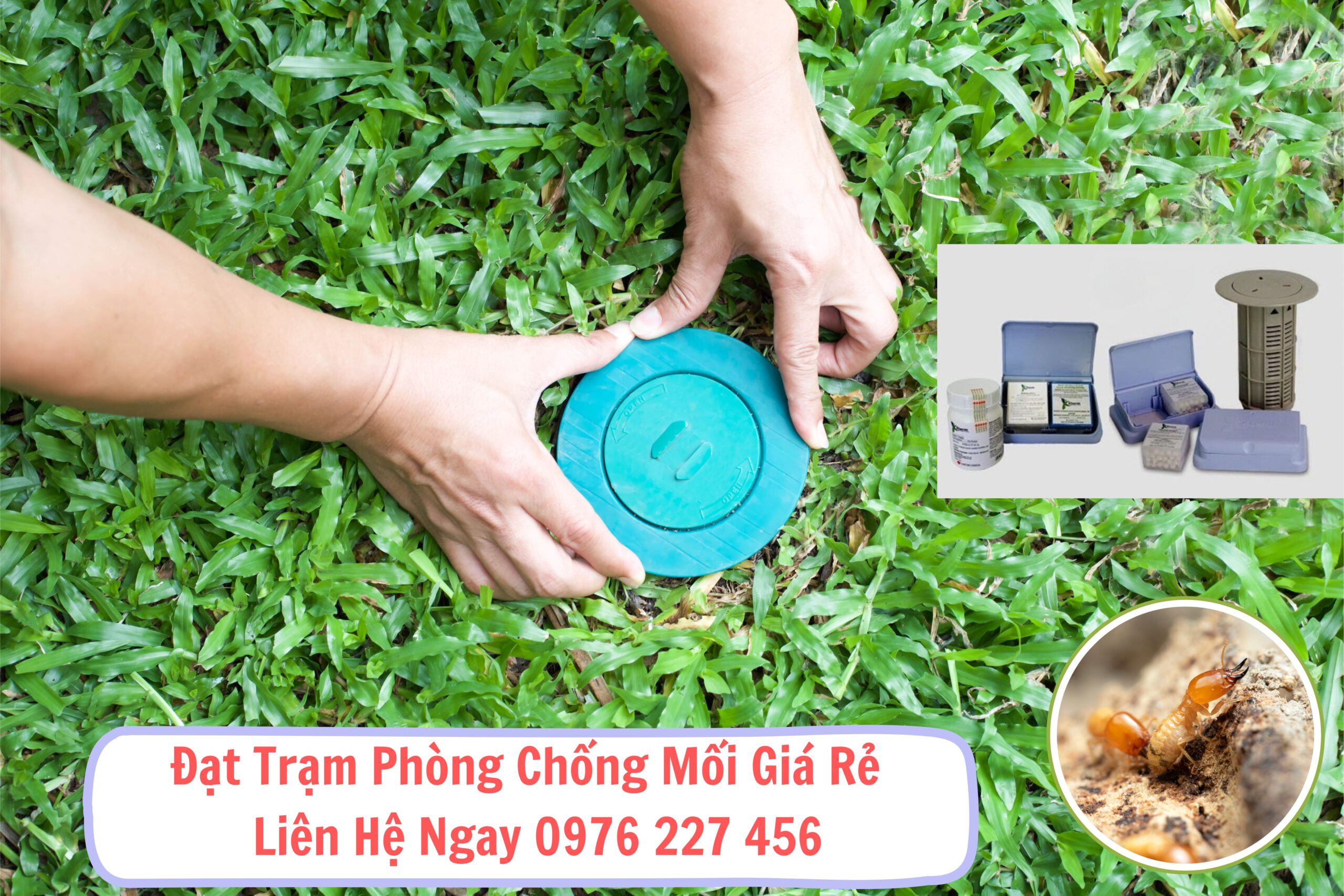 Đặt trạm phòng chống mối