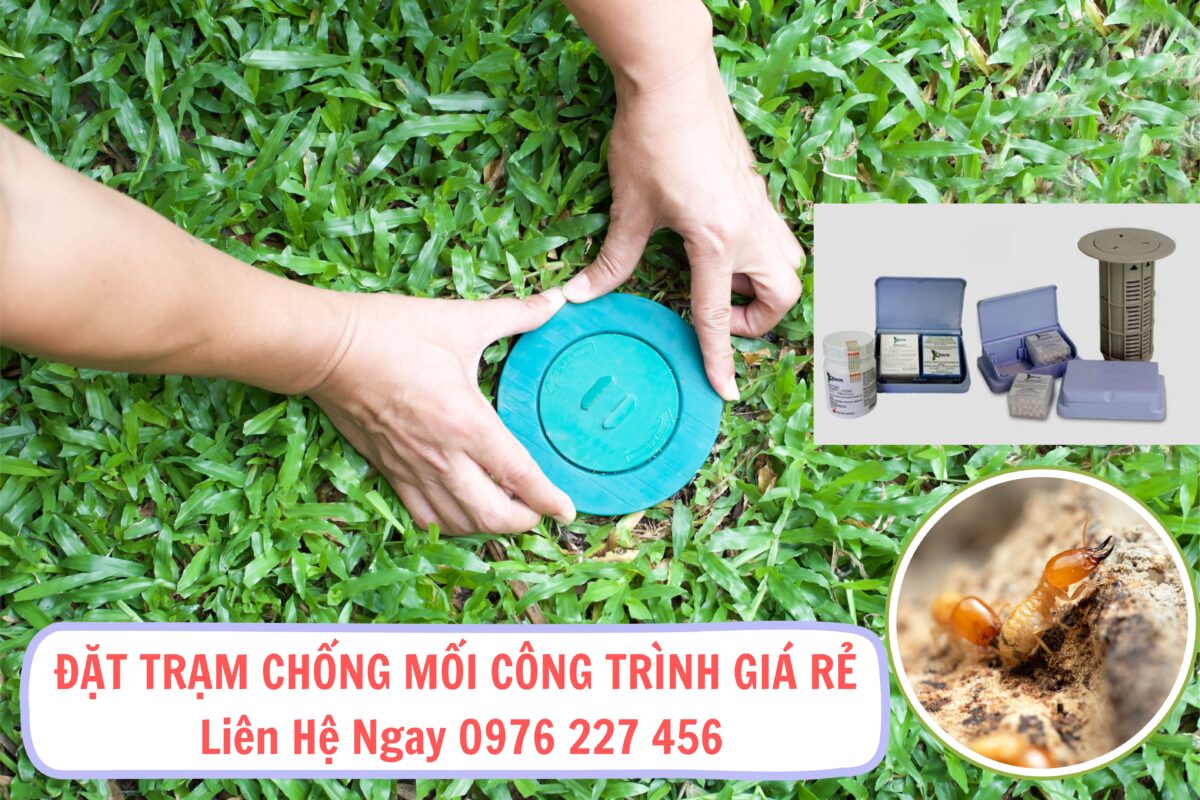 Đặt trạm chống mối công trình
