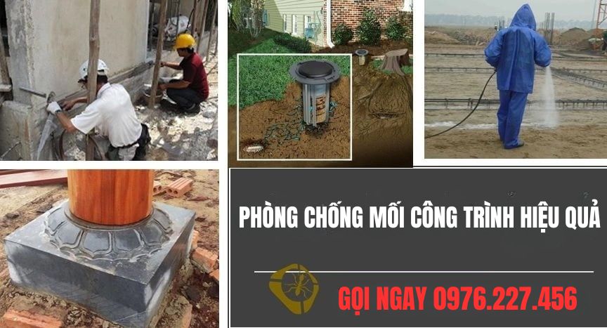 Xuyên Việt Group – Giải pháp phòng chống mối công trình toàn diện, bền vững