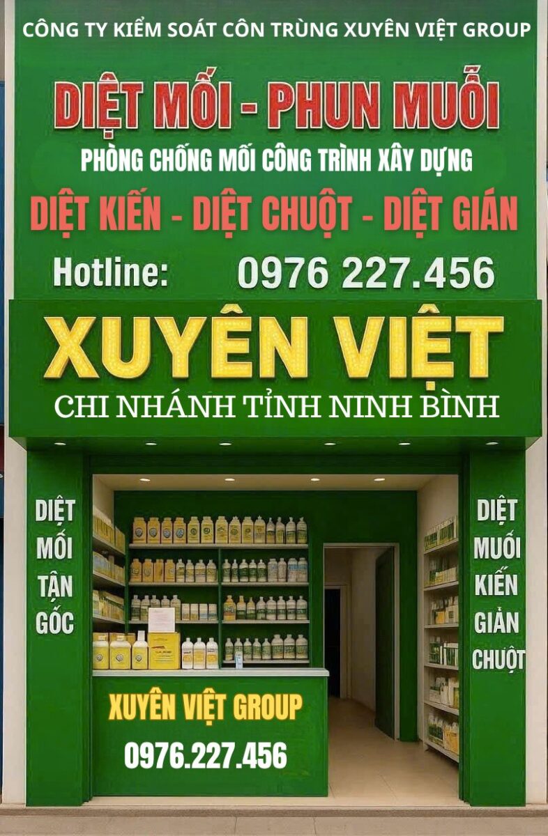 Dịch vụ phòng chống mối tại Ninh Bình