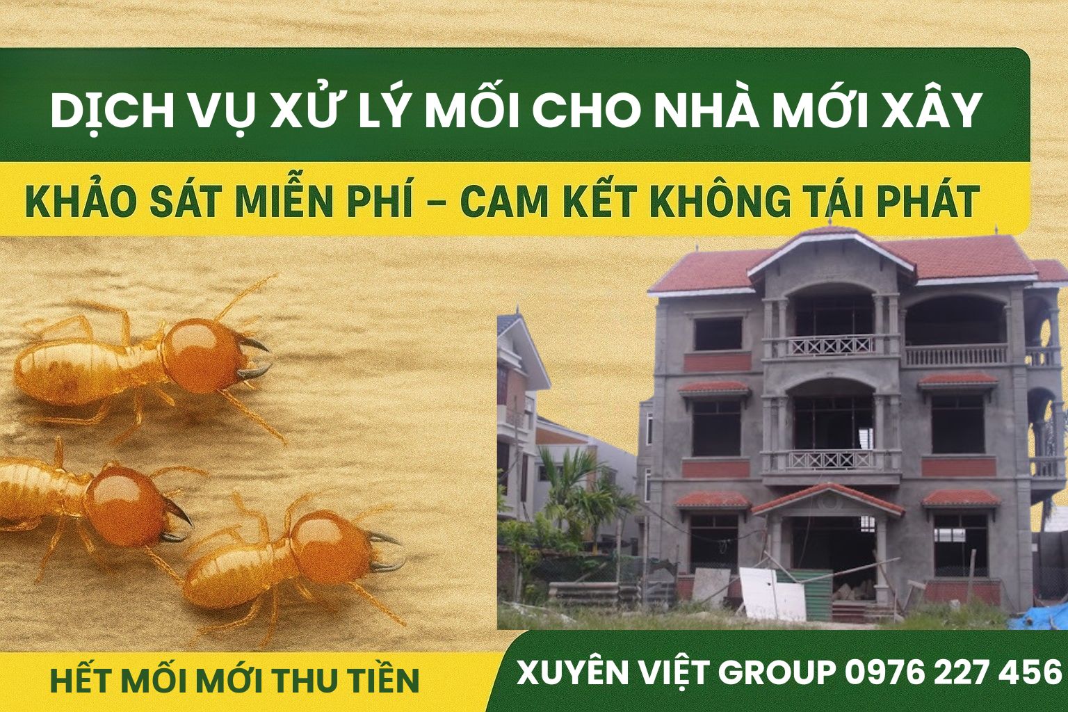 Dịch vụ xử lý mối nhà mới xây