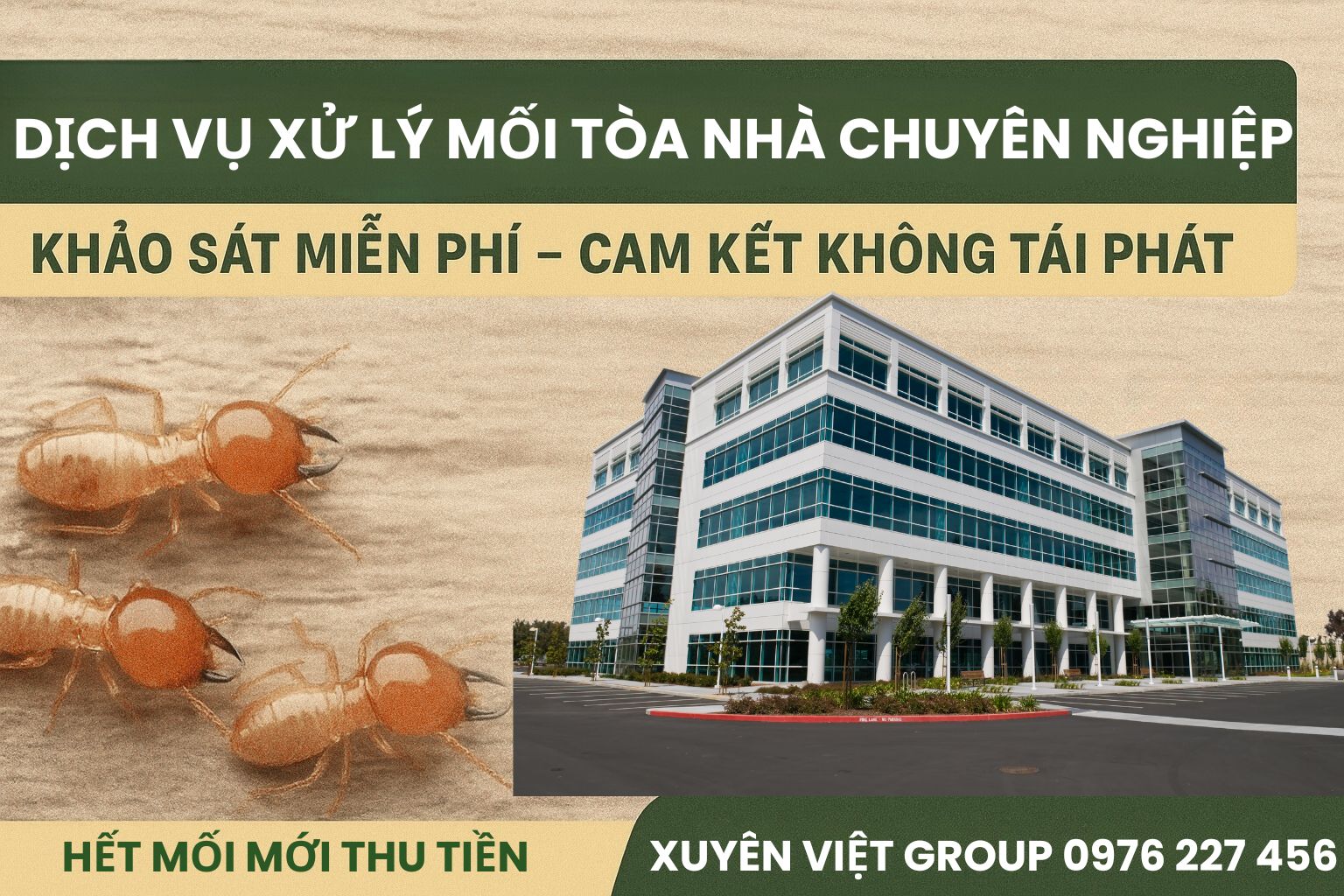 Dịch vụ xử lý mối tòa nhà