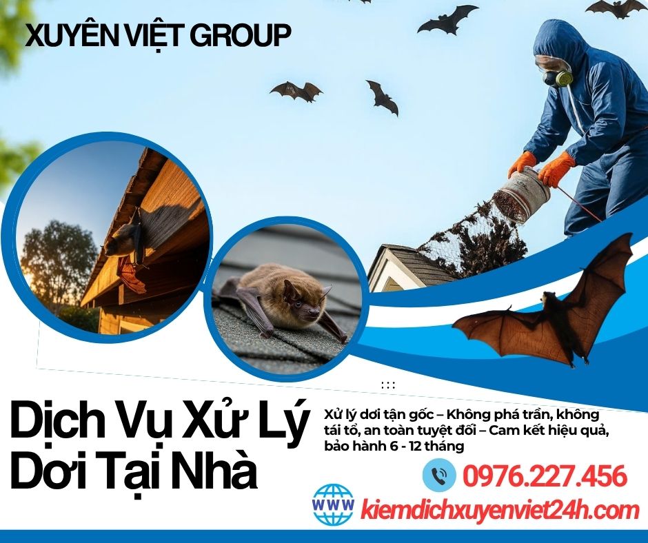 Xử lý dơi tận gốc