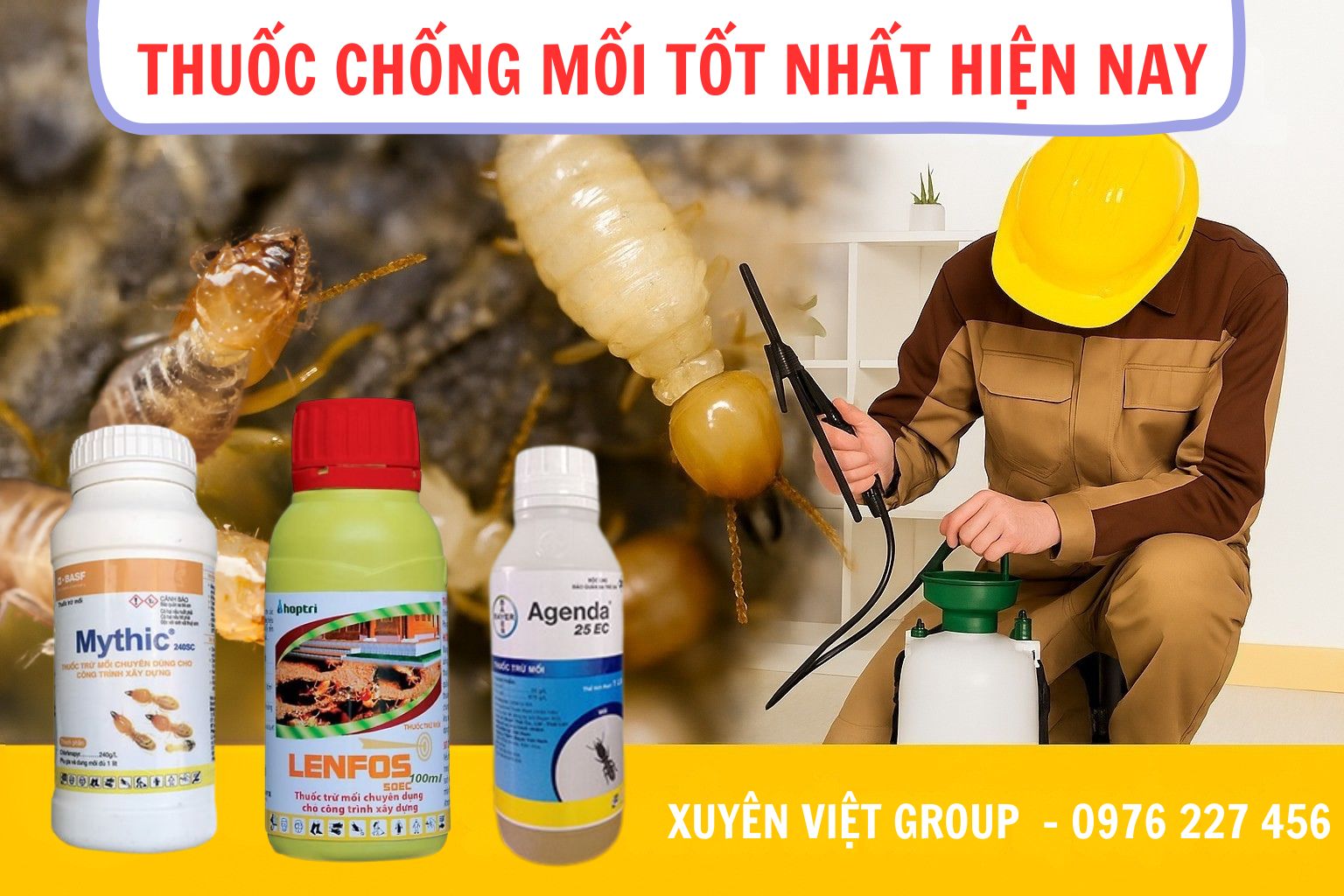 Thuốc phòng chống mối tốt nhất