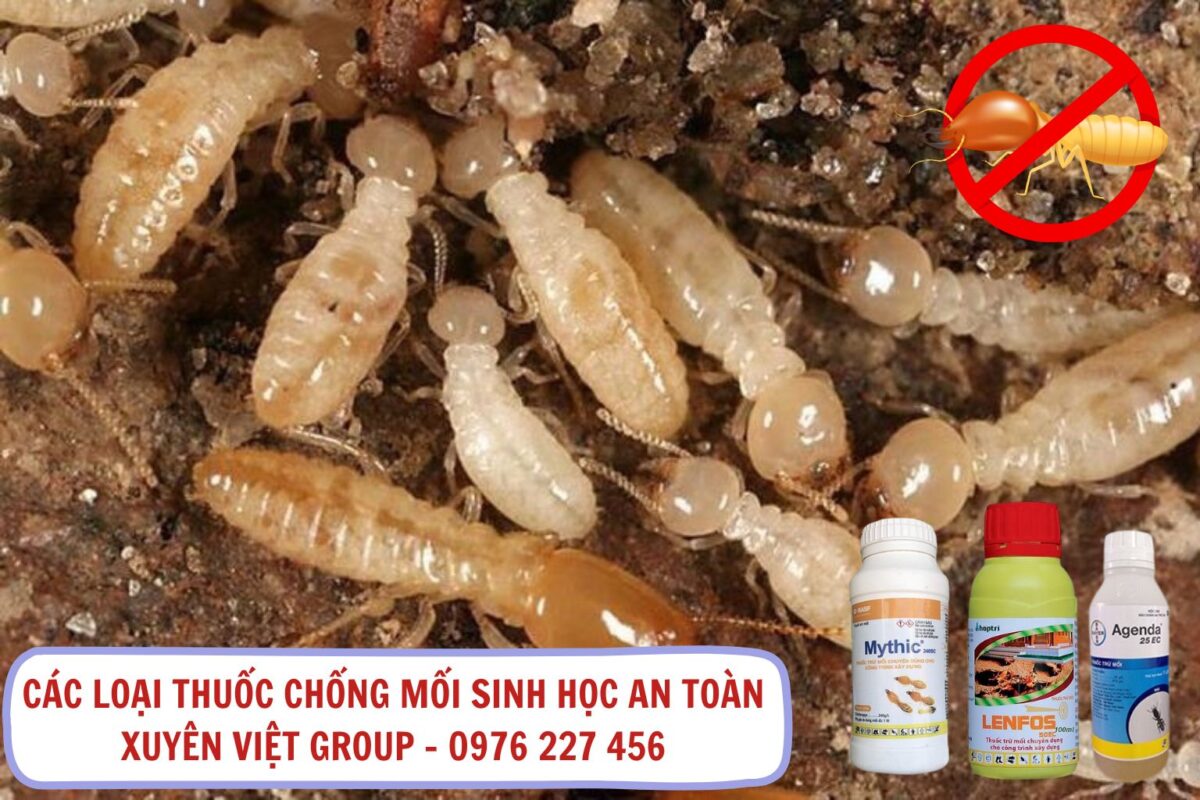 Thuốc chống mối sinh học