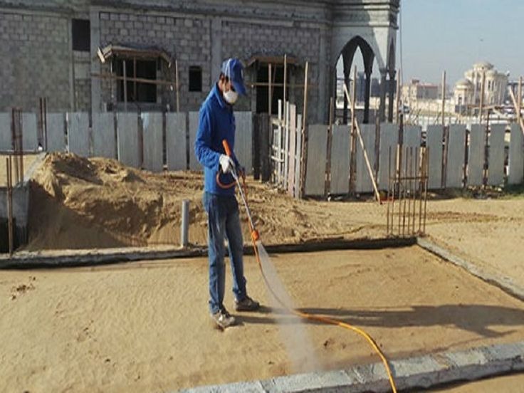 Dịch vụ chống mối nền móng xưởng sản xuất
