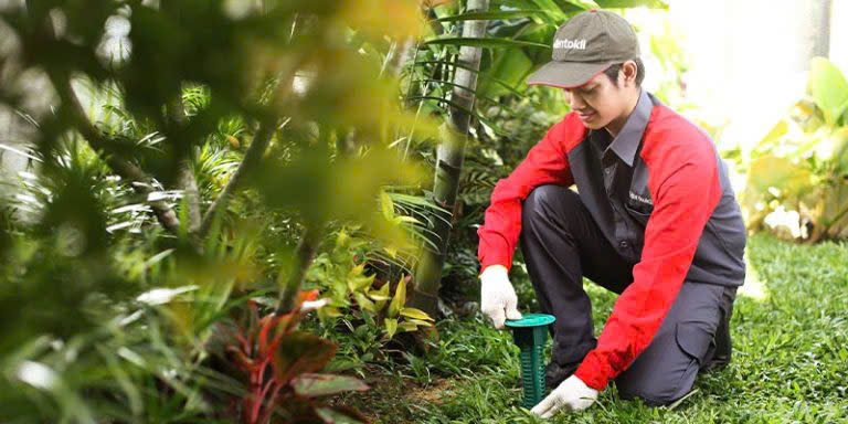 Phương pháp chống mối bằng trạm sinh học an toàn