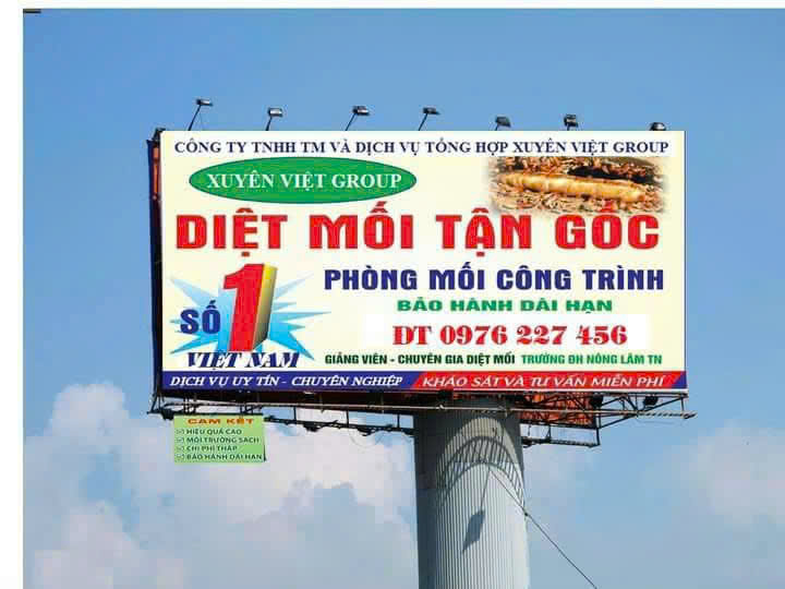 Xuyên Việt Group – Chuyên phòng chống mối tận gốc tại Nam Định cho mọi công trình