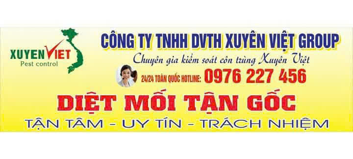 Dịch vụ phòng chống mối tại Ninh Bình – Xuyên Việt Group đồng hành bảo vệ công trình của bạn!