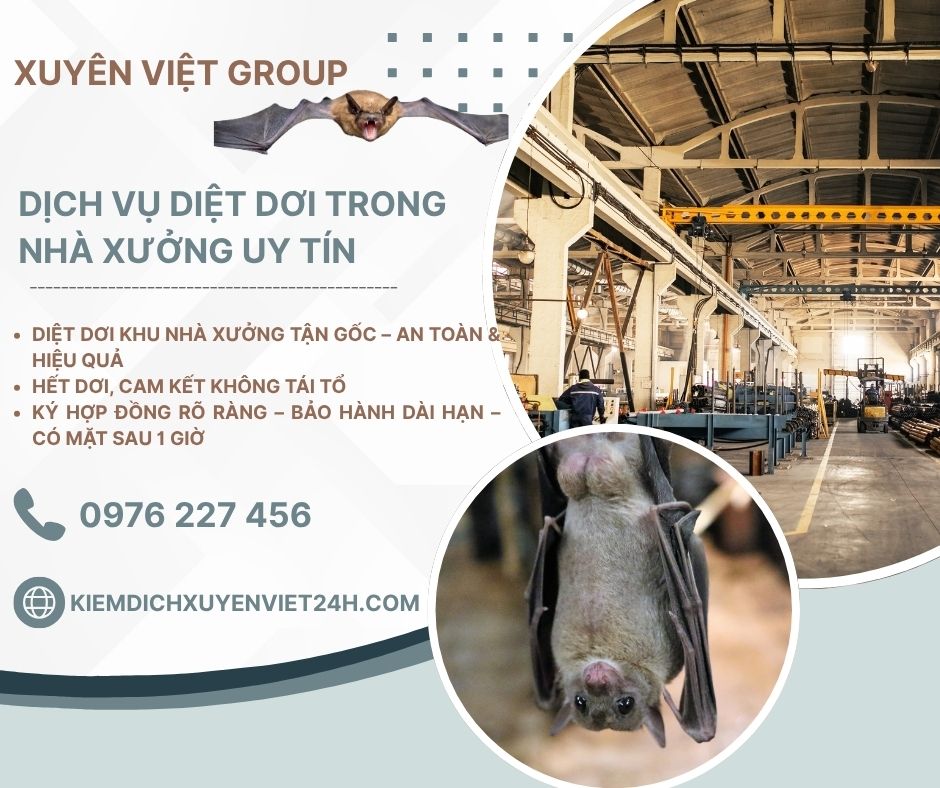 Dịch vụ diệt dơi khu nhà xưởng