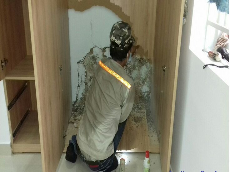 Dịch vụ diệt mối tại nhà xã Hồng An, Hải Phòng