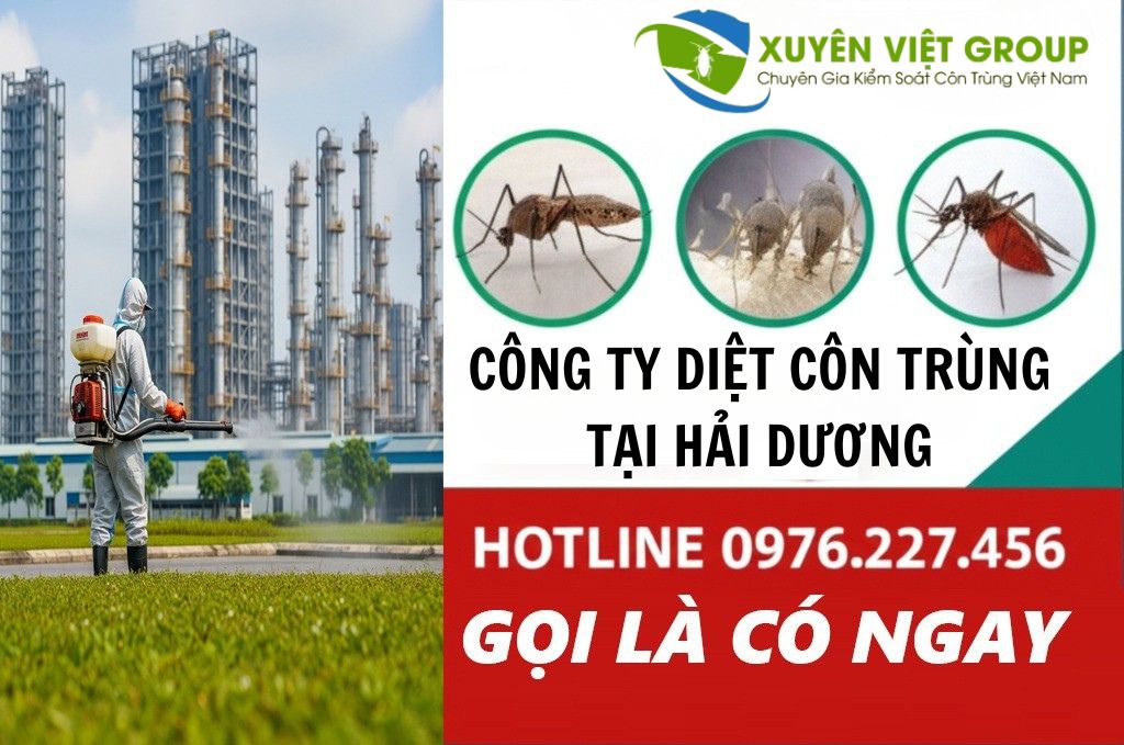 Công ty diệt côn trùng tại Hải Dương
