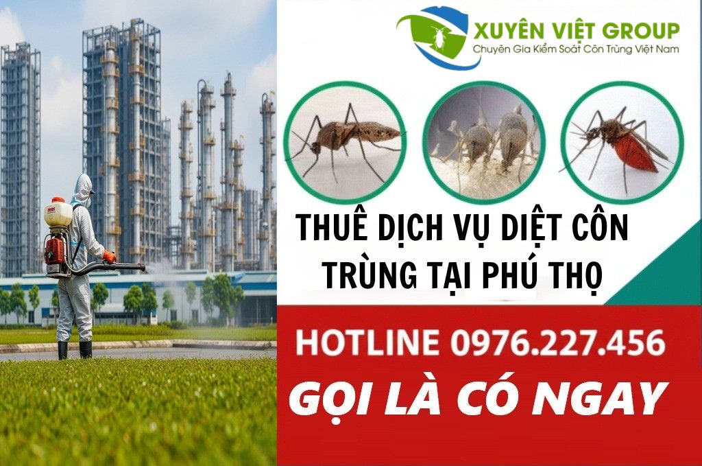 Thuê dịch vụ diệt côn trùng tại Phú Thọ