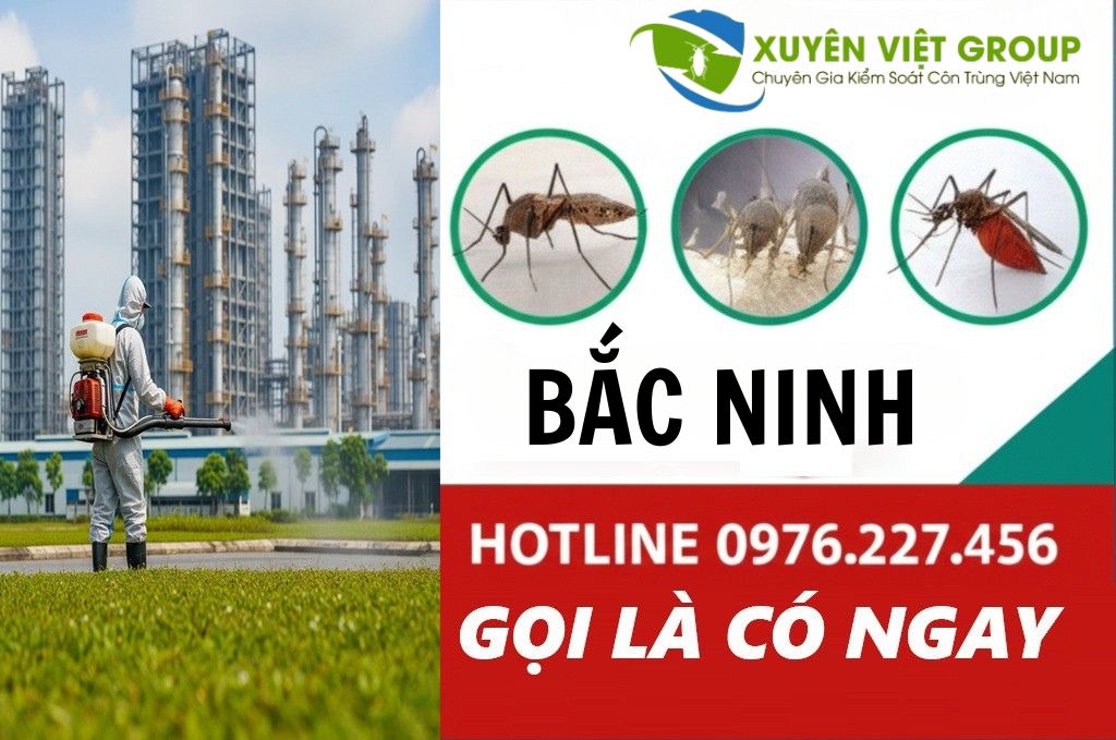 Lợi ích khi thuê dịch vụ diệt côn trùng tại Bắc Ninh