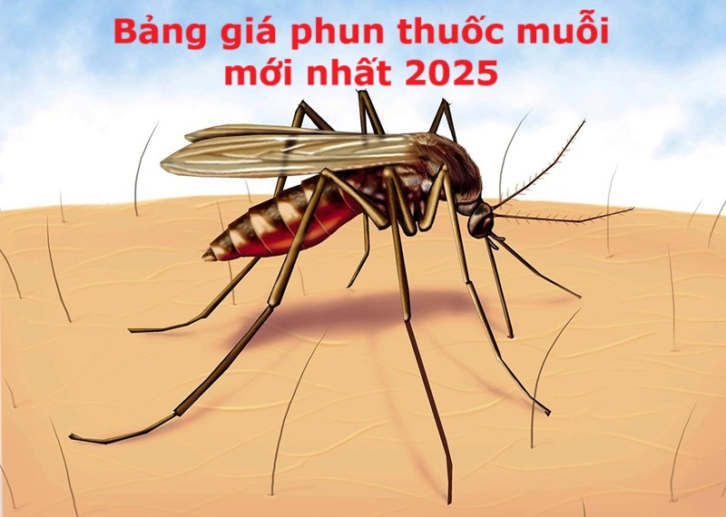 Bảng giá phun thuốc muỗi mới nhất 2025 bạn đã cập nhật chưa?