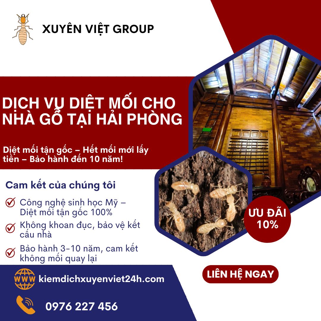 Diệt mối cho nhà gỗ ở Hải Phòng