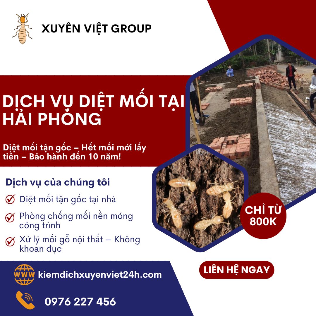 Đơn vị diệt mối uy tín ở Hải Phòng