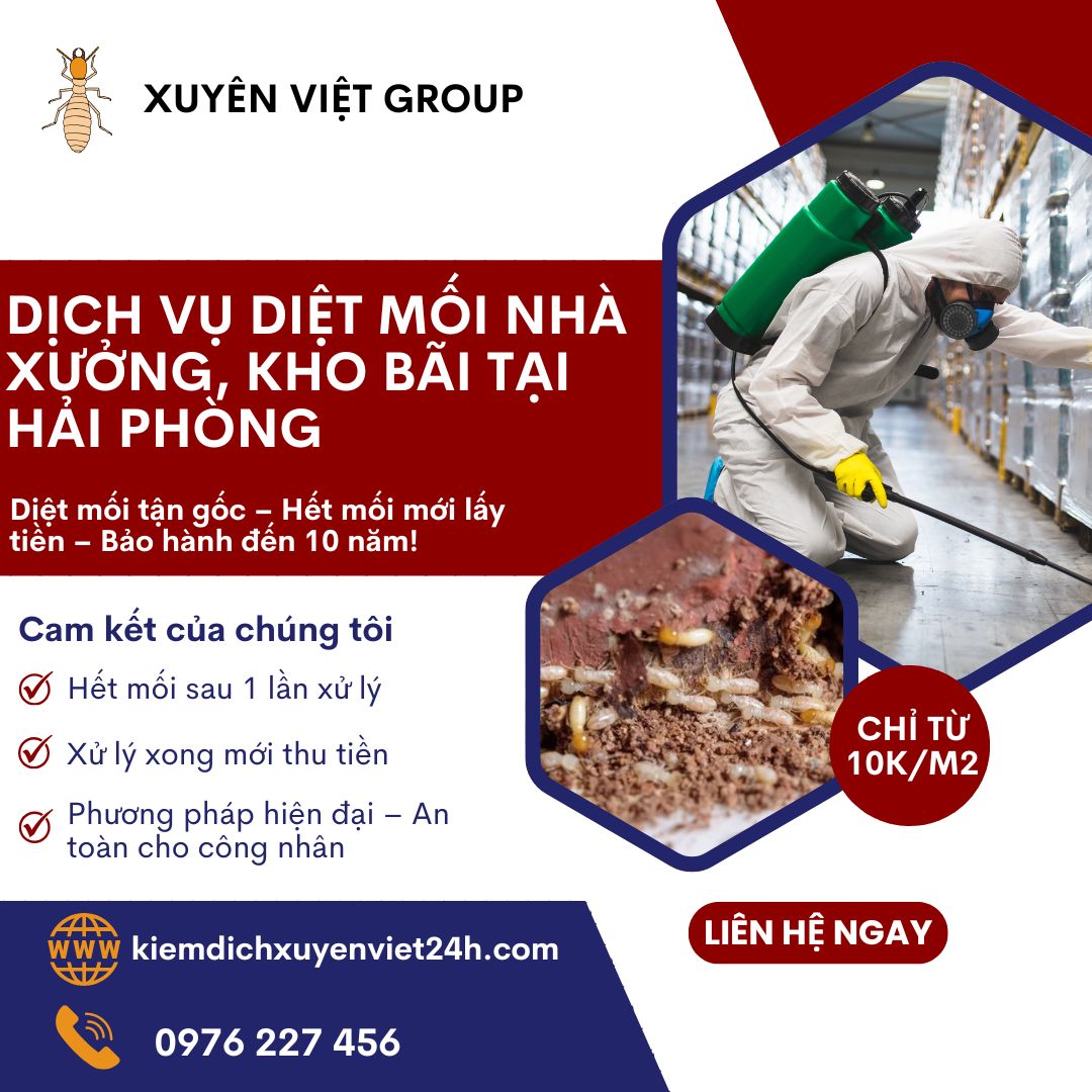 Diệt mối nhà xưởng kho bãi tại Hải Phòng