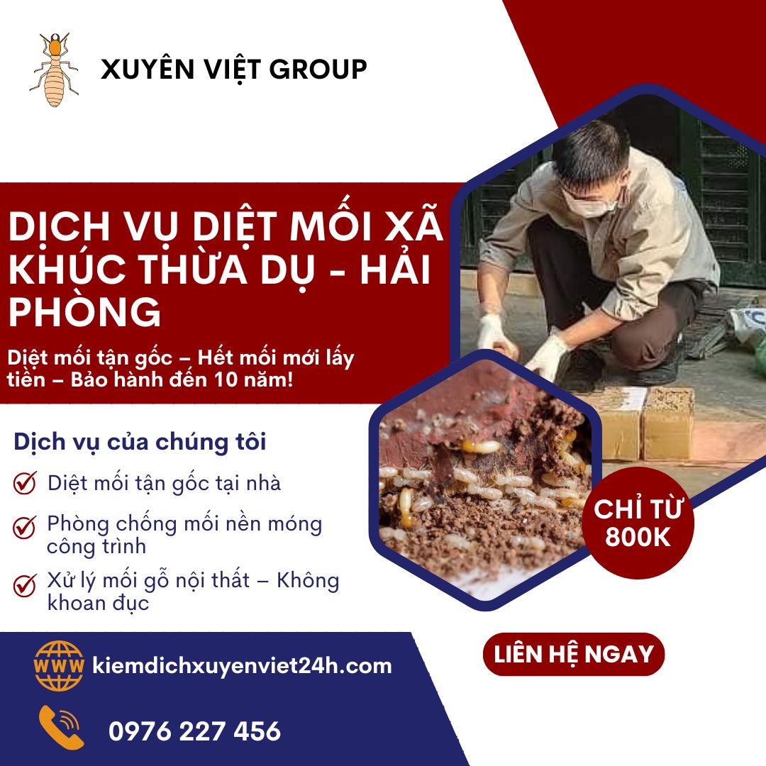 Dịch vụ diệt mối xã Khúc Thừa Dụ