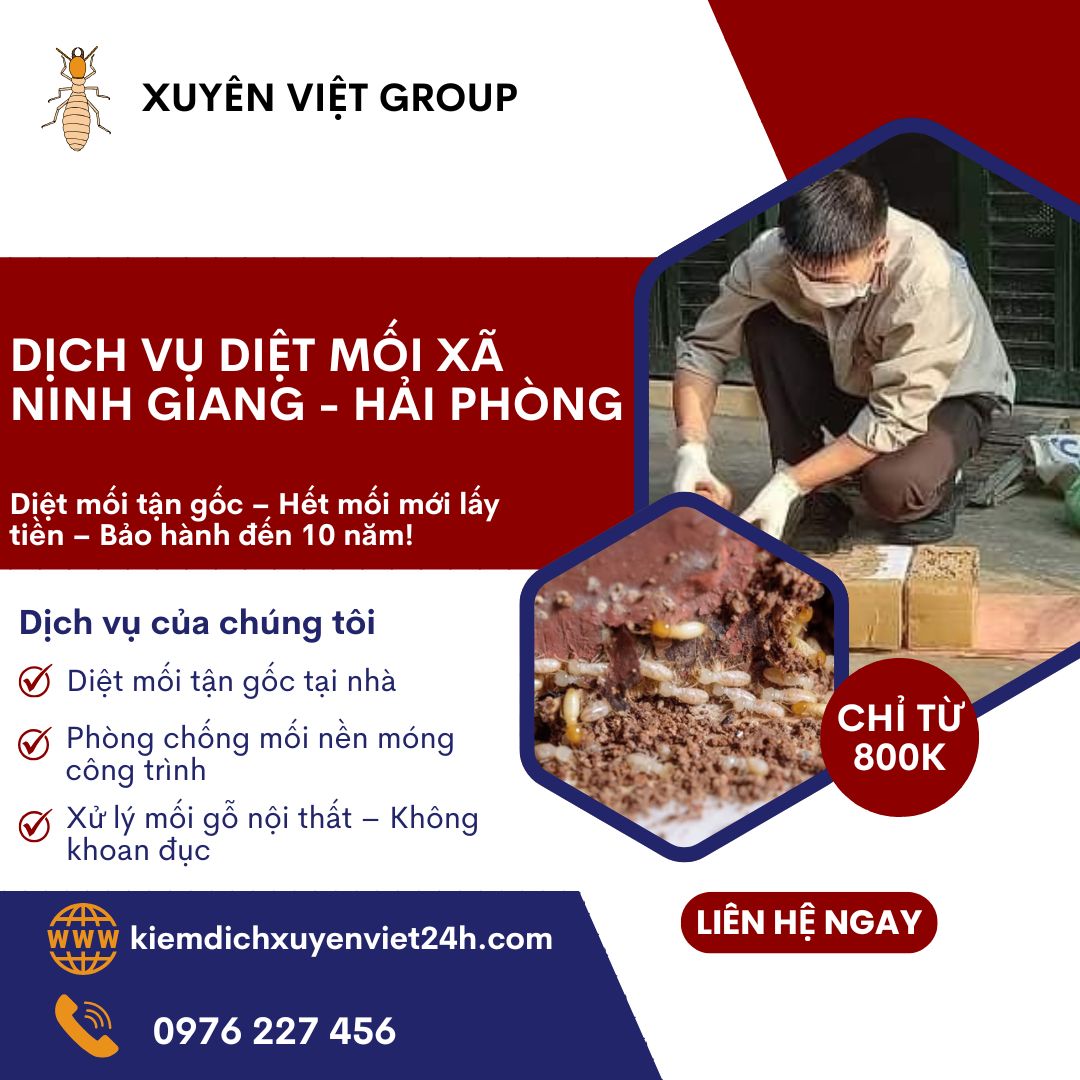 Dịch vụ diệt mối xã Ninh Giang, Hải Phòng