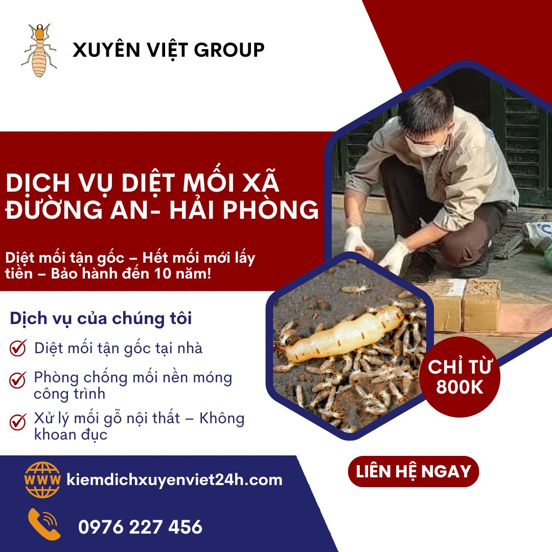 Dịch vụ diệt mối xã Đường An, Hải Phòng