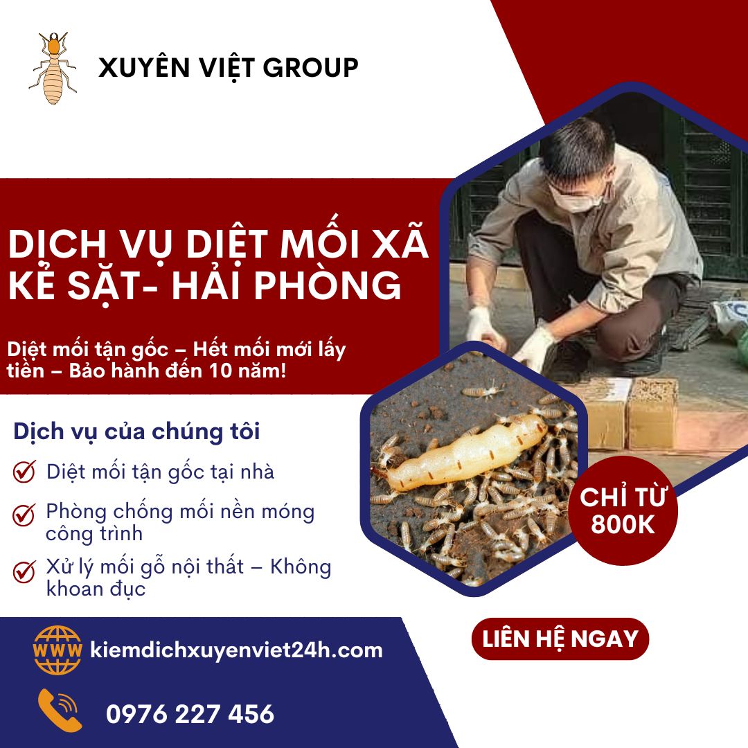 Dịch vụ diệt mối xã Kẻ Sặt, Hải Phòng