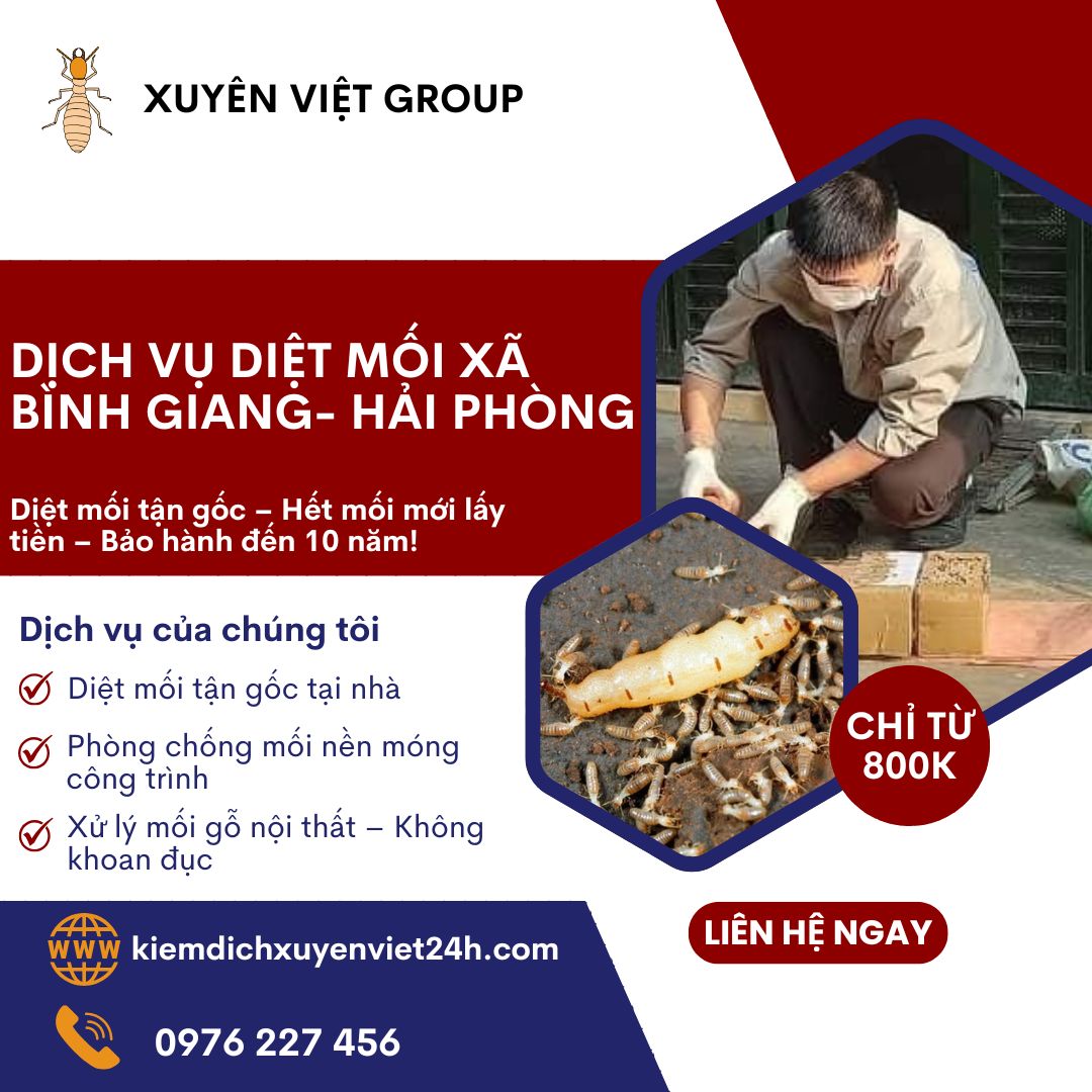 Dịch vụ diệt mối xã Bình Giang, Hải Phòng