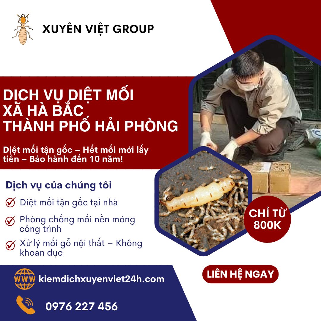 Dịch vụ diệt mối xã Hà Bắc, Hải Phòng