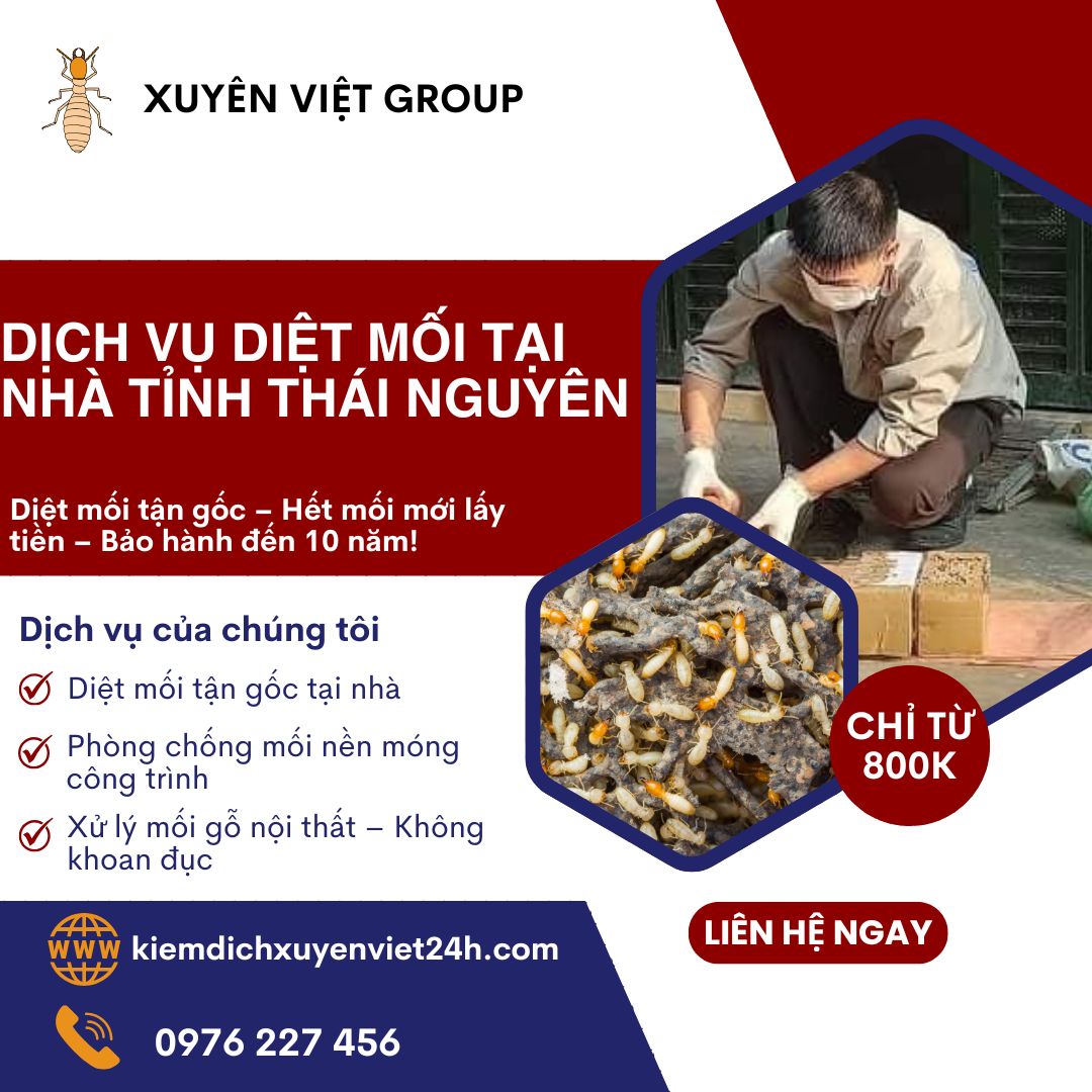 Dịch vụ diệt mối tận nhà tại Bắc Giang của Xuyên Việt Group là lựa chọn hàng đầu cho các hộ gia đình, doanh nghiệp và công trình xây dựng đang đối mặt với tình trạng mối xâm nhập, phá hoại. Chúng tôi áp dụng các giải pháp diệt mối sinh học tiên tiến, không khoan đục, an toàn tuyệt đối cho người và vật nuôi, nhưng vẫn đảm bảo xử lý tận gốc tổ mối – không để tái phát. Đội ngũ kỹ thuật viên của chúng tôi được đào tạo bài bản, quy trình xử lý được chuẩn hóa, phù hợp với từng khu vực như: nhà dân, nền móng công trình, nhà kho, cầu thang gỗ, trần thạch cao… dịch vụ diệt mối tận nhà tại Thái Nguyên