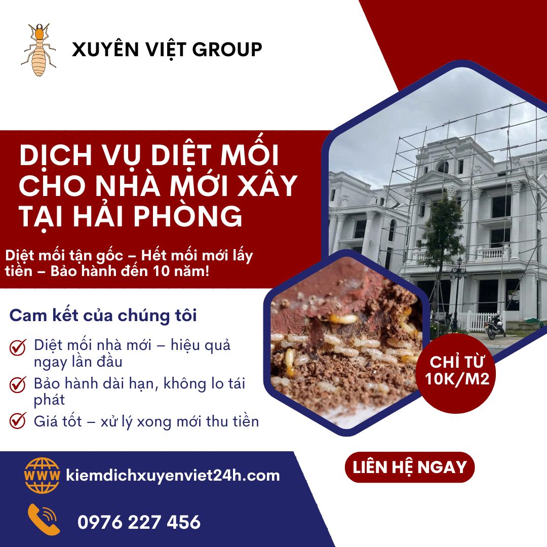 Diệt mối cho nhà mới xây tại Hải Phòng