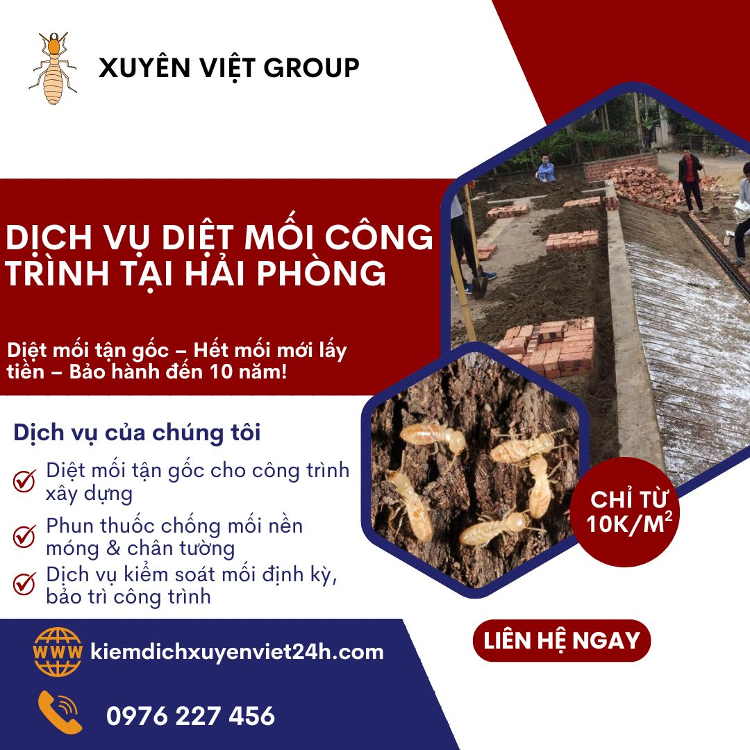 Diệt mối công trình tại Hải Phòng