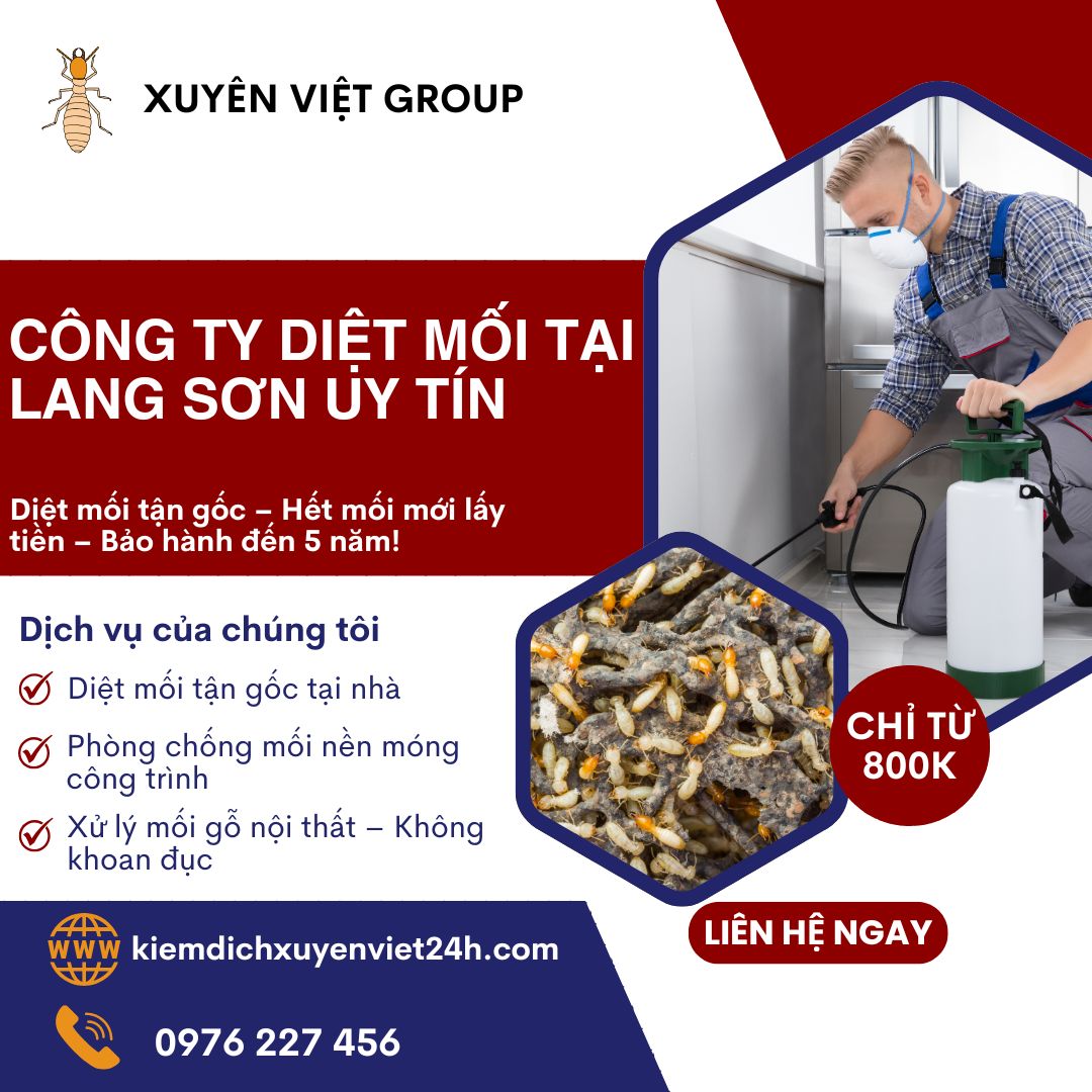 Công ty diệt mối tại Lạng Sơn