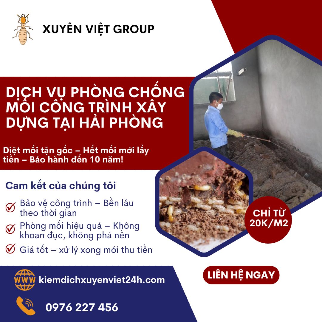 Phòng chống mối công trình tại Hải Phòng