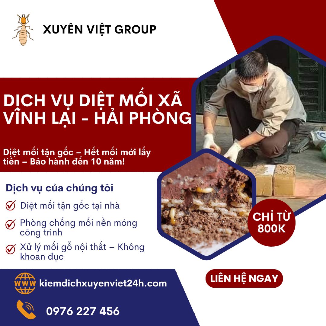 Dịch vụ diệt mối xã Vĩnh Lại, Hải Phòng